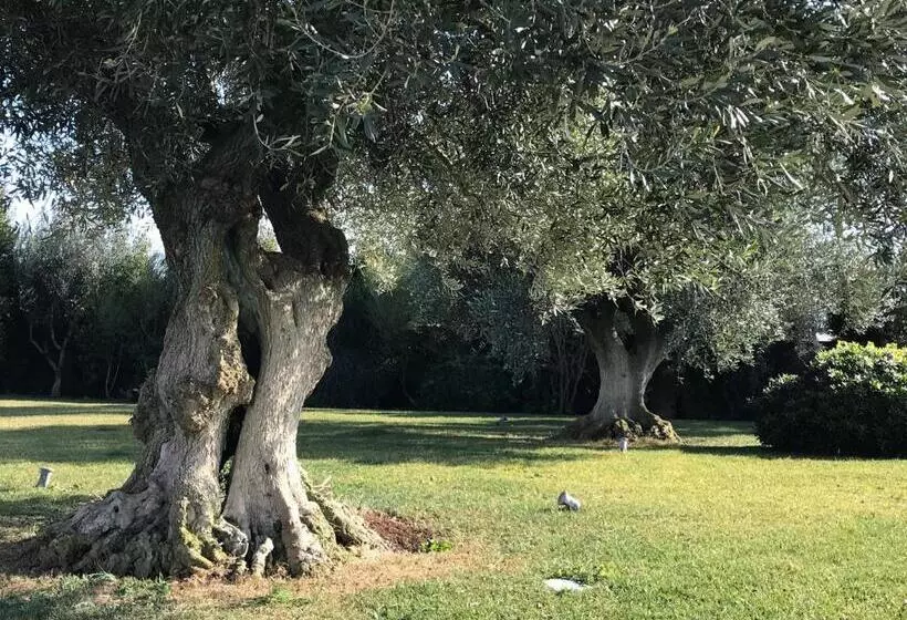 Relais Masseria Della Colomba   Agriturismo