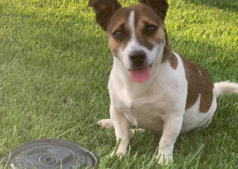 Relais Masseria Della Colomba   Agriturismo