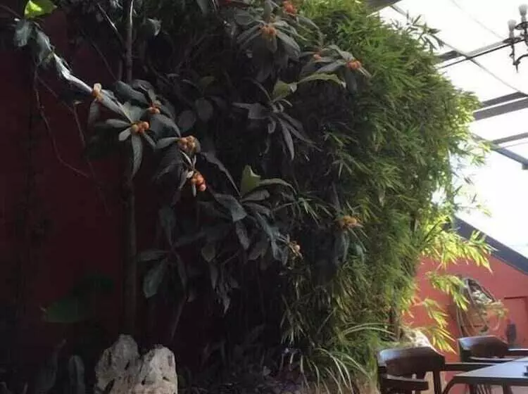 B&b Il Mulino Re