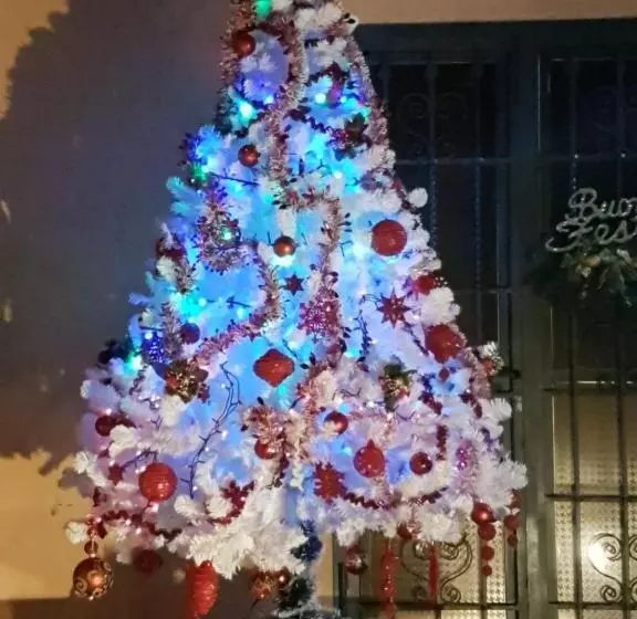 تختخواب و صبحانه Alle Vecchie Mura