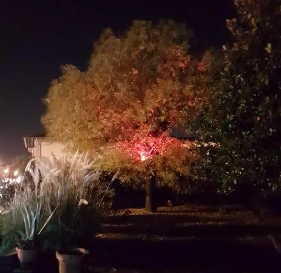 تختخواب و صبحانه Alle Vecchie Mura