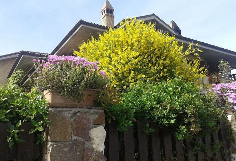 Bed And Breakfast Europe