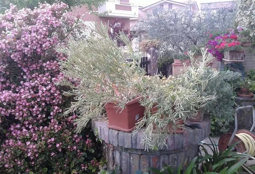 Bed And Breakfast Europe