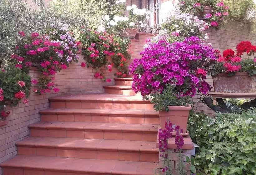 Bed And Breakfast Europe