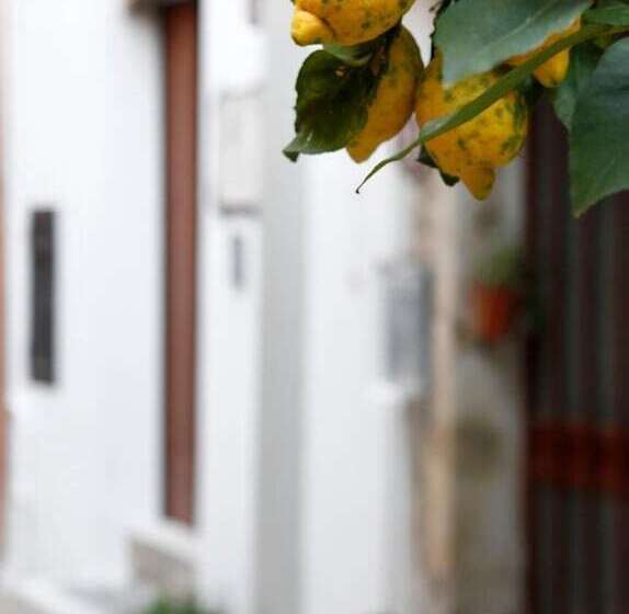 צימר La Terrazza Del Poeta