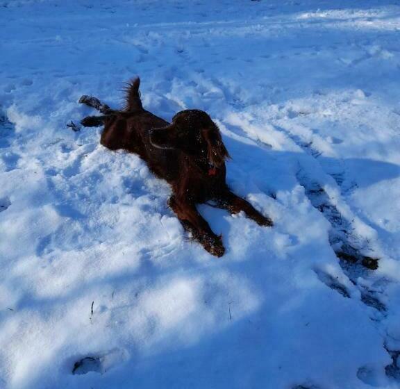 تختخواب و صبحانه Tenuta Degli Angeli Rossi