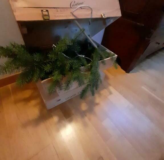 تختخواب و صبحانه Tenuta Degli Angeli Rossi