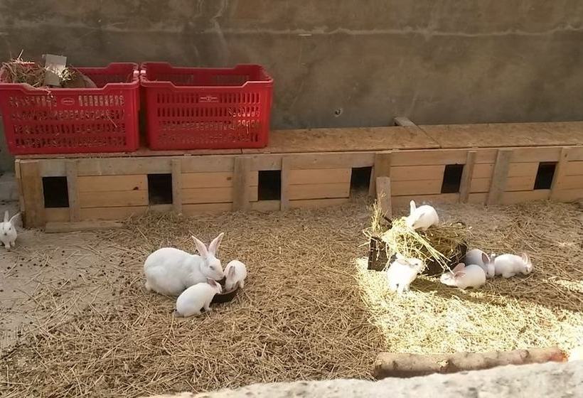 בית מלון כפרי Agriturismo Gesseta