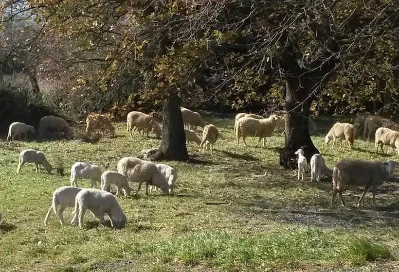 בית מלון כפרי Agriturismo Gesseta