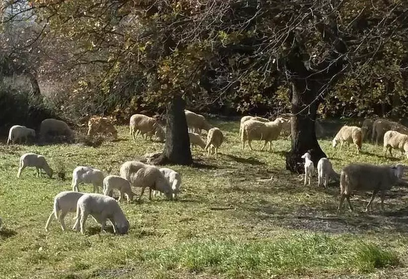 Maaseutuhotelli Agriturismo Gesseta