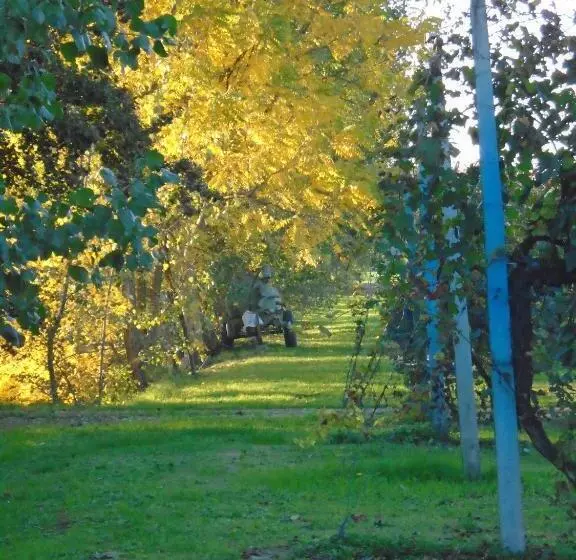 Maaseutuhotelli Agriturismo Loghino Sabbioni