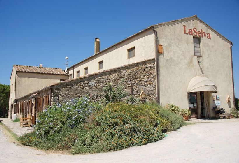 فندق ريفى La Selva