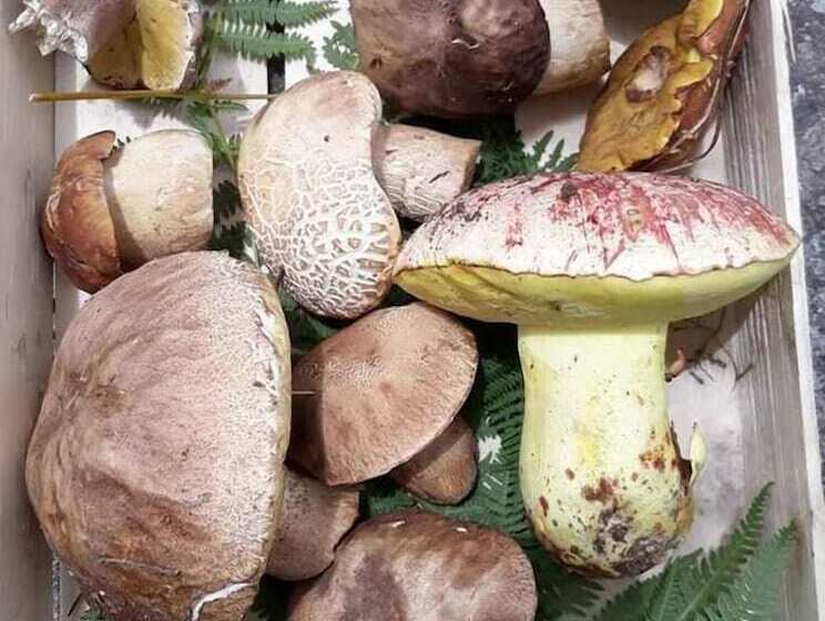 مبيت وإفطار La Meta Eccelsa