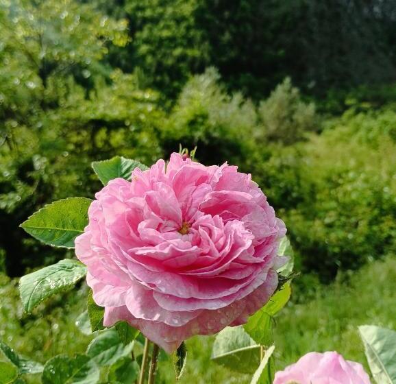 צימר Fattoria La Tana Della Volpe