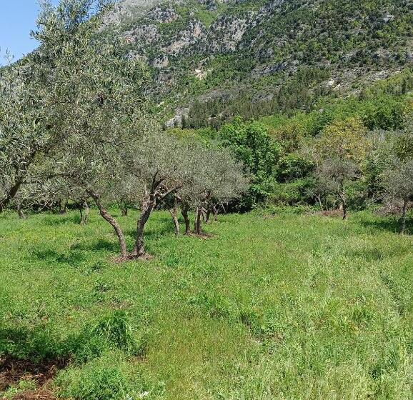 צימר Fattoria La Tana Della Volpe