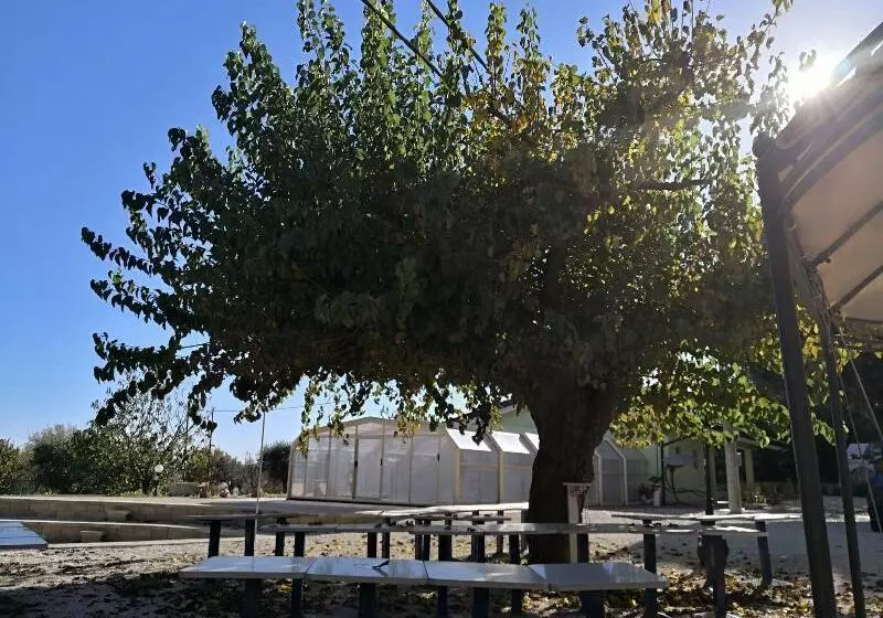 Aamiaismajoitus (B&B) Marimà