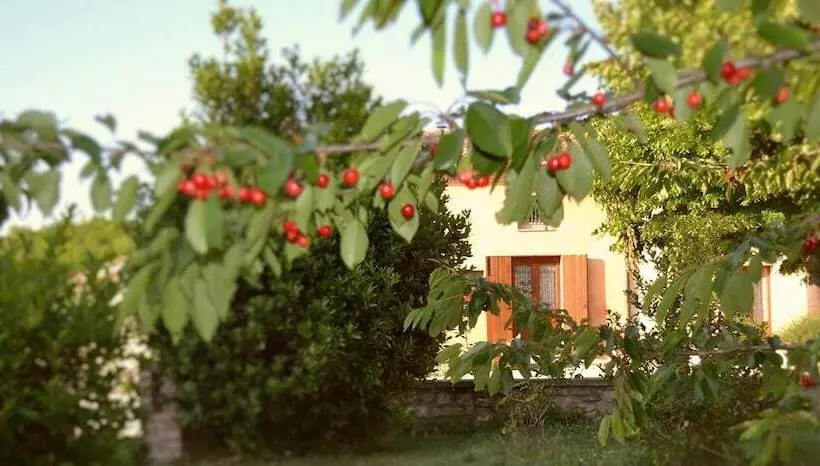 Maaseutuhotelli Agriturismo Collina Dei Fagiani