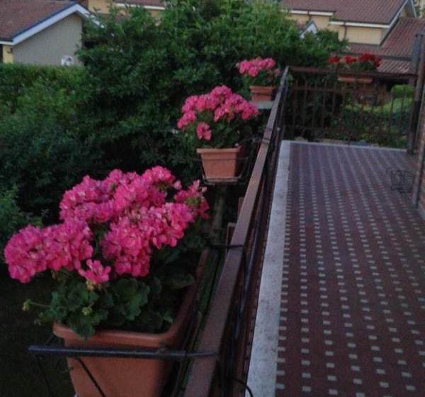 B&b Candiolo Comfort