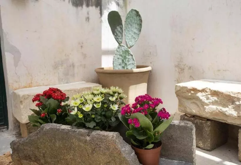 B&b Giardino Nascosto Taviano