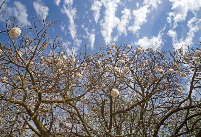 B&b Giardino Nascosto Taviano