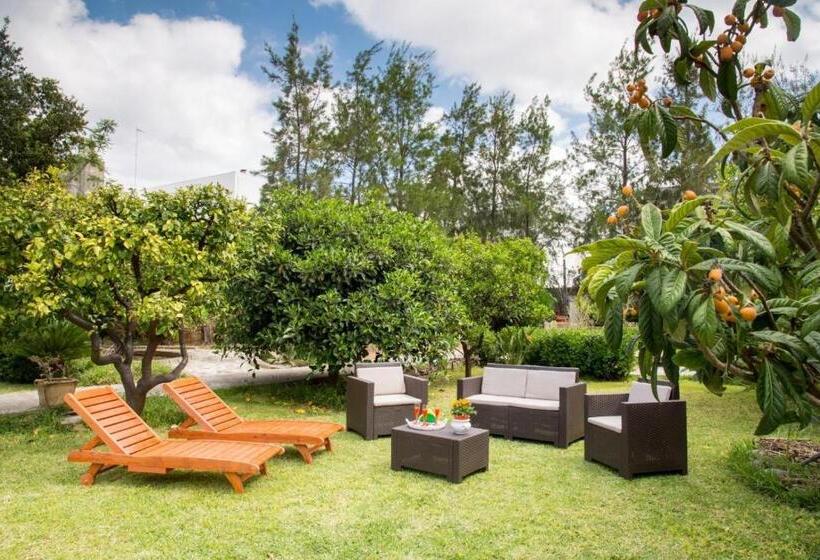 B&b Giardino Nascosto Taviano