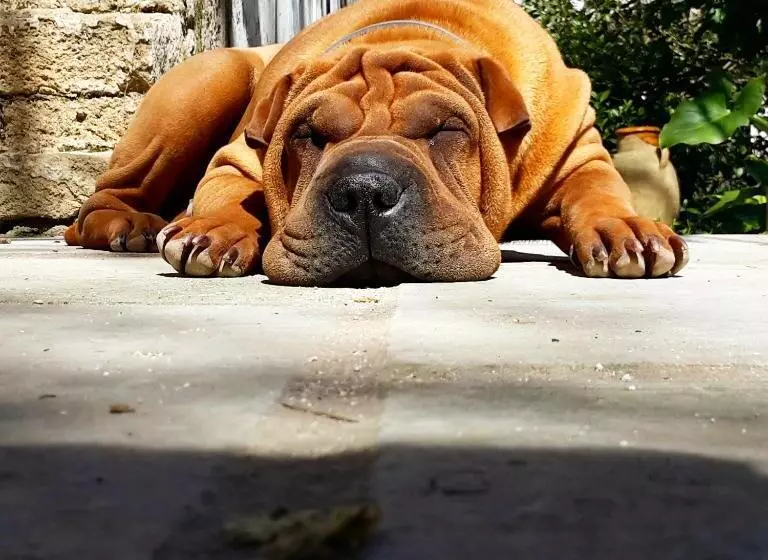 B&b Giardino Nascosto Taviano