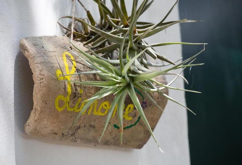 B&b Giardino Nascosto Taviano