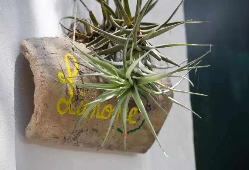 B&b Giardino Nascosto Taviano