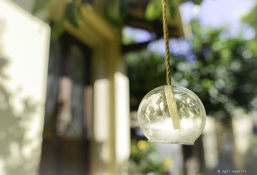 Cà Gialla   Bed And Breakfast