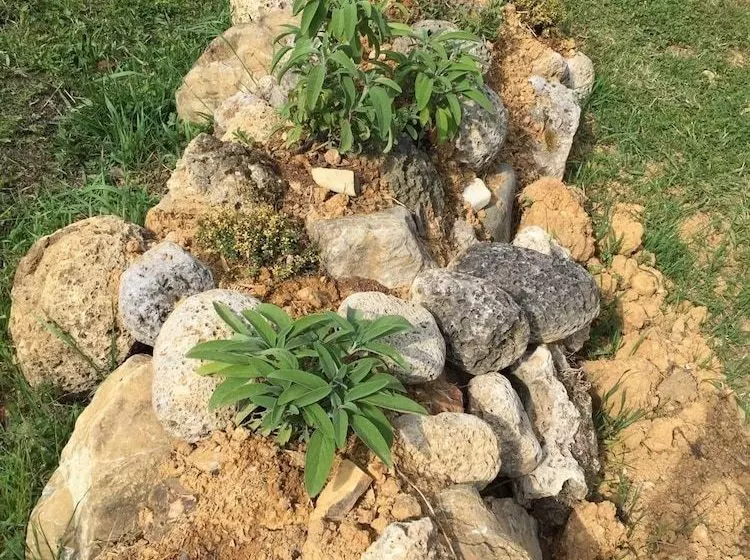 田舎風ホテル Agriturismo Il Bardellino