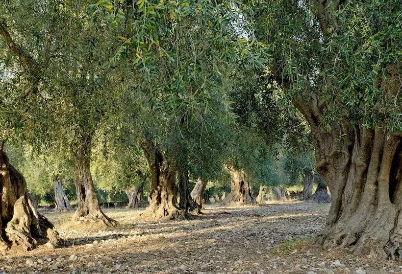 田舎風ホテル Masseria Le Macine