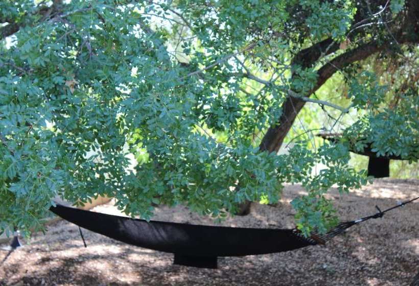 교외 호텔 Masseria Le Macine