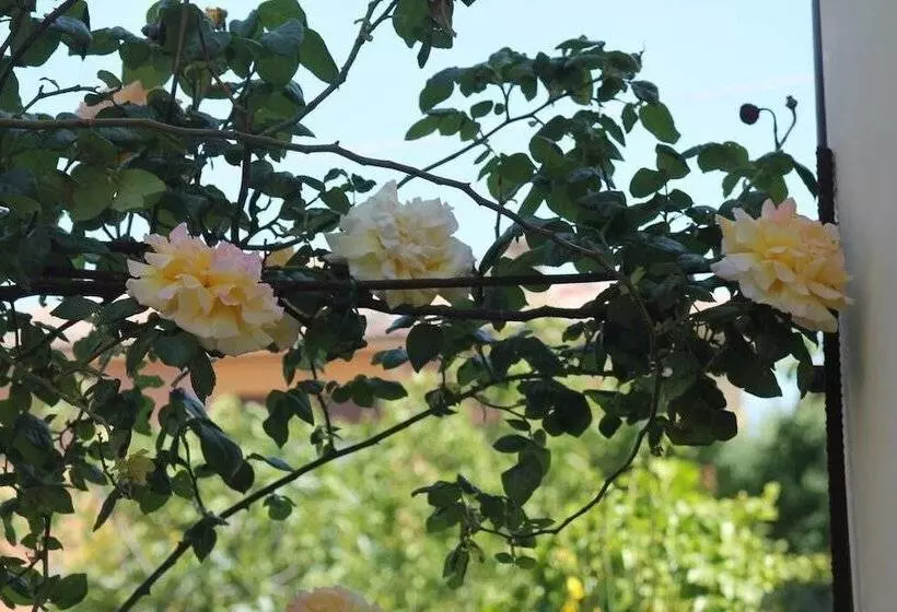 ペンション B&b Morning Glory