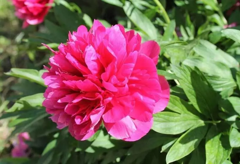 ペンション B&b Morning Glory