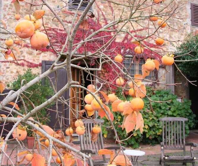 پانسیون Le Scalette