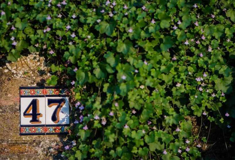 پانسیون Le Scalette