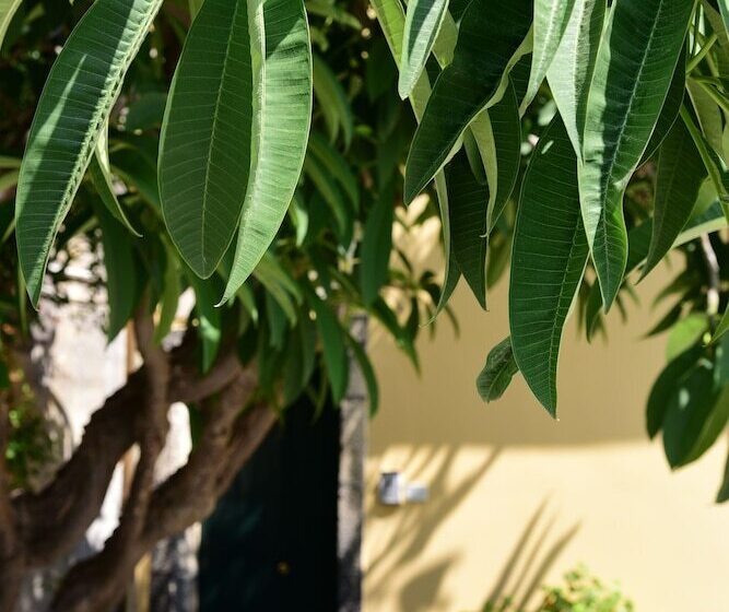 צימר Giardino Arancio