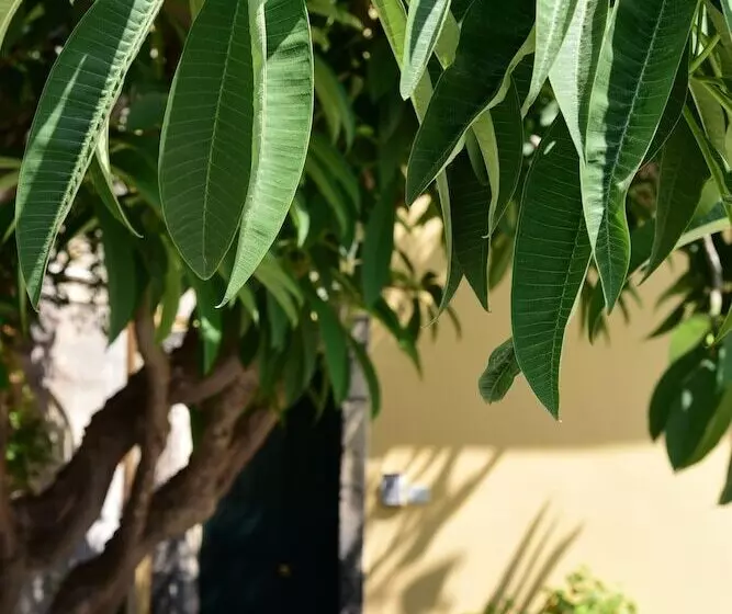 ベッドアンドブレックファースト Giardino Arancio