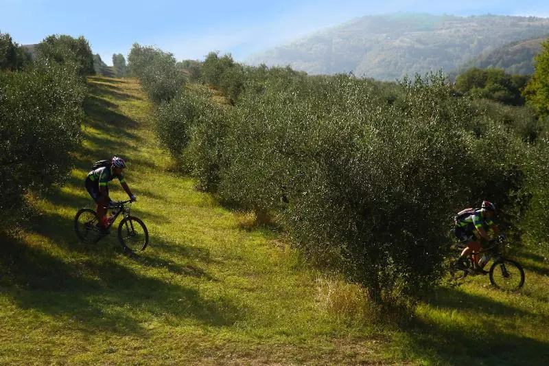 Fattoria L  Aquilone