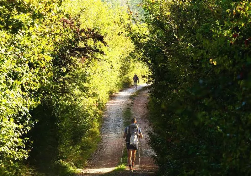Fattoria L  Aquilone