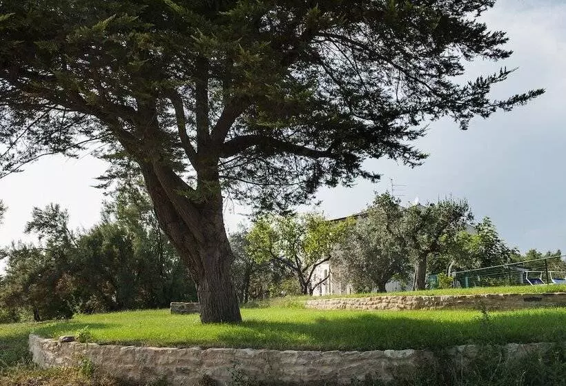 هتل روستایی Villa Marchetti