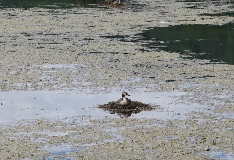 Aamiaismajoitus (B&B) Casa Del Movimento Lento   Guesthouse