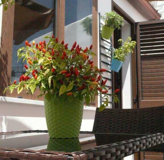 住宿加早餐  A Vanedda