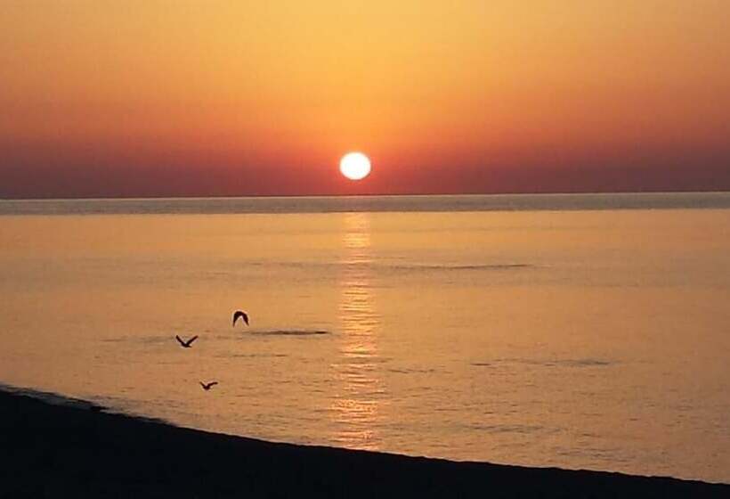 Bed And Breakfast Sunrise