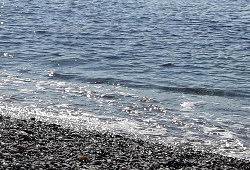 Bed And Breakfast Sunrise