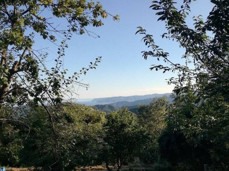 פנסיון Berzuaia