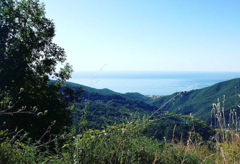 פנסיון Berzuaia