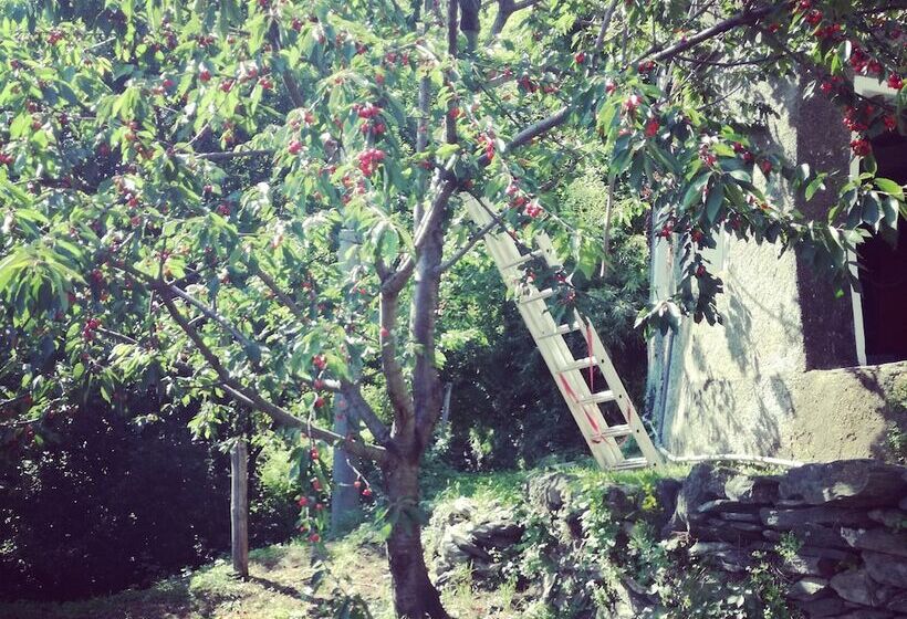 פנסיון Berzuaia