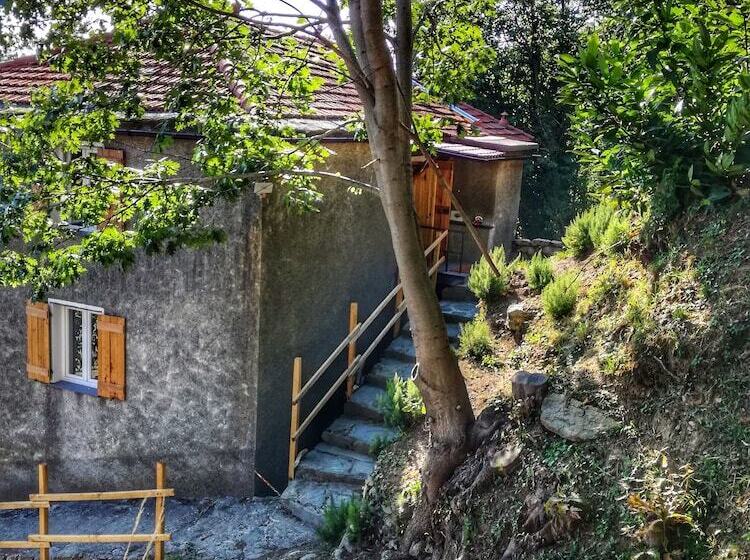 פנסיון Berzuaia