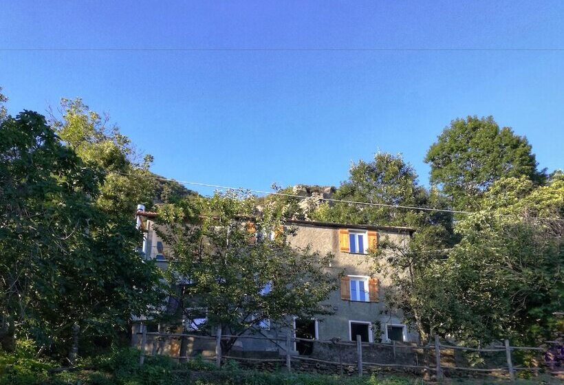 פנסיון Berzuaia